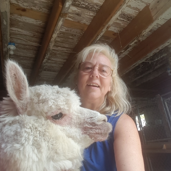 Meet your Posher, Faye - Picture 1 of 2